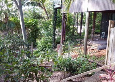 before timber fence Cromer