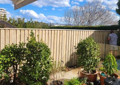 timber lapped and capped fencing contractors Northern Beaches